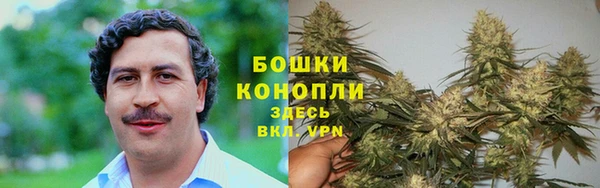 СК Богданович