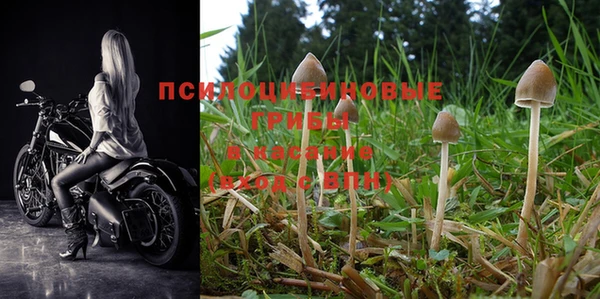 марки nbome Богородицк