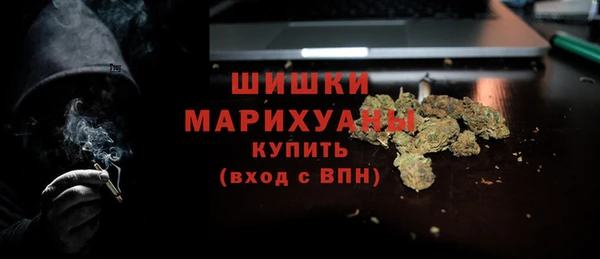 сатива Белоозёрский