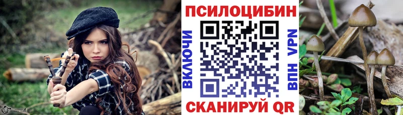 Псилоцибиновые грибы MAGIC MUSHROOMS  Бутурлиновка 